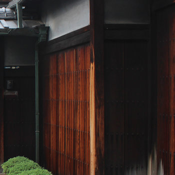 Bird%20traps%20colour2