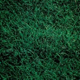 Living Music-Cover-230x230